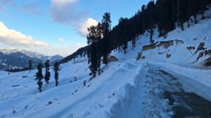 IMG-20250201-WA0033